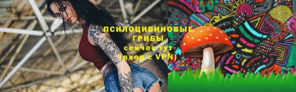 ПСИЛОЦИБИНОВЫЕ ГРИБЫ Богданович