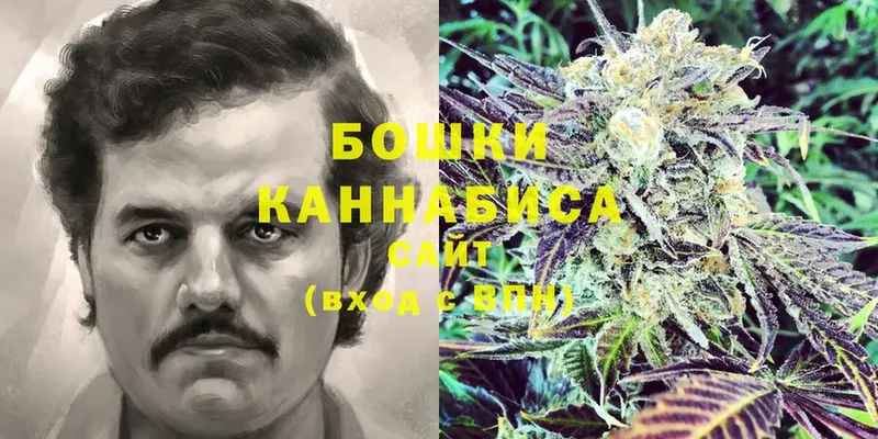 купить наркоту  Константиновск  Канабис Ganja 